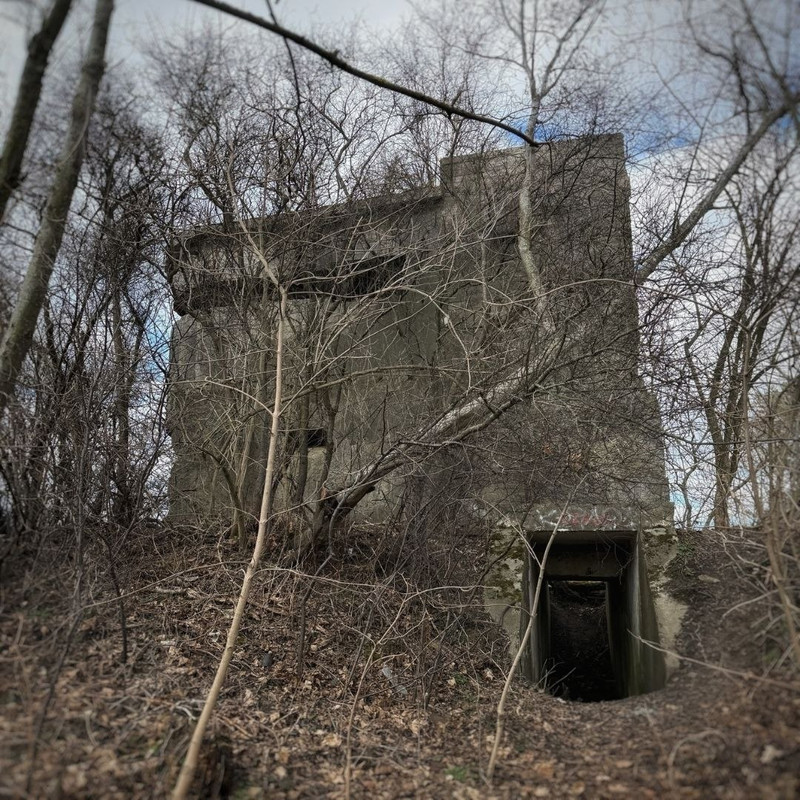 [Изображение: photo-2026-03-30-11-59-06.jpg]