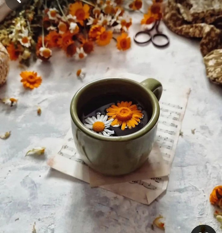 Screenshot_20240610_224853_Pinterest