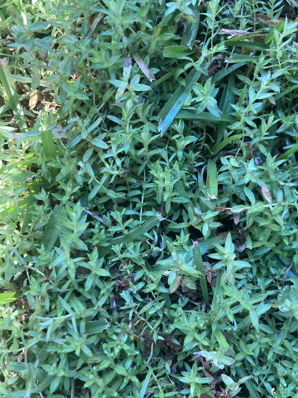 D59396DC-F2EE-41FD-A3BF-E13EB3FCD579