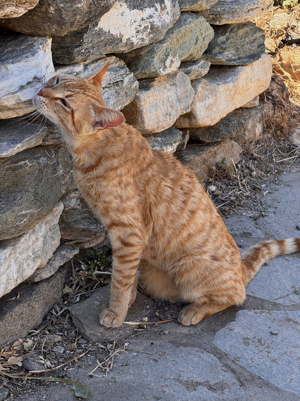 https://i.postimg.cc/G27nwVVC/IMG-3745-edit-265941422099001.jpg
