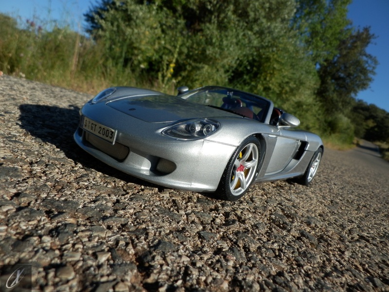 Porsche Carrera G (3)