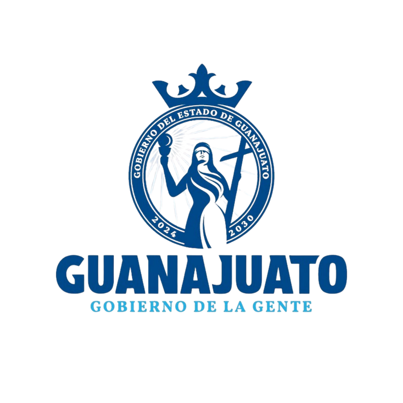 Aseguradora Grupo VO