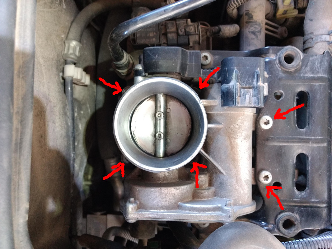 1-IMG_20231008_150013331-Editada