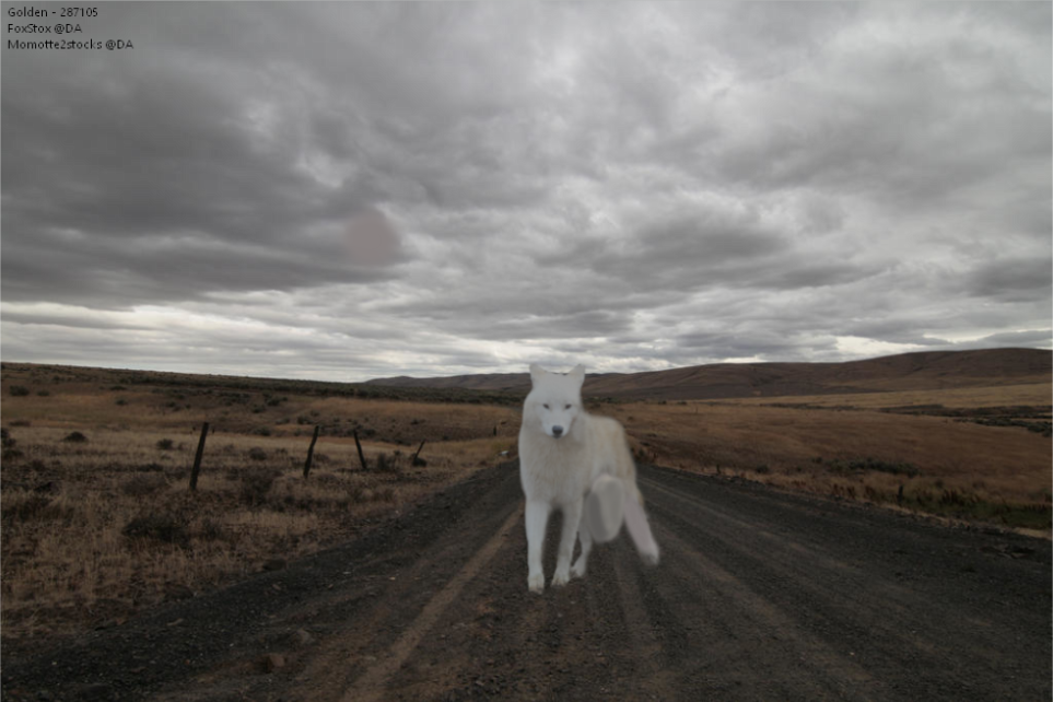 Wolf-Roads.png