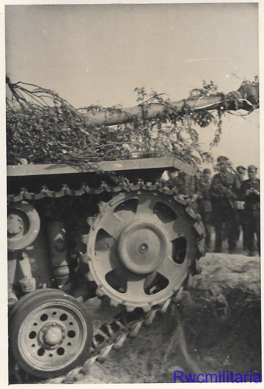 German Sturmgeschütz Panzer Camouflaged1