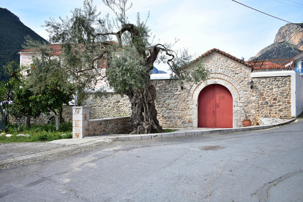 Λεωνίδιο (12)