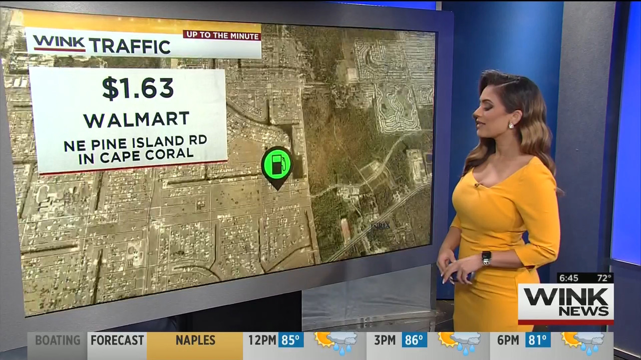 15 May - 11.00.00 - WINK News This Morning..ts_snapshot_27.35_[2020.05.15_23.36.11]