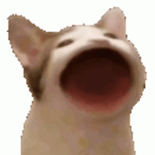 482f8a468ae0222b2a87dc5784a0dd2b.gif