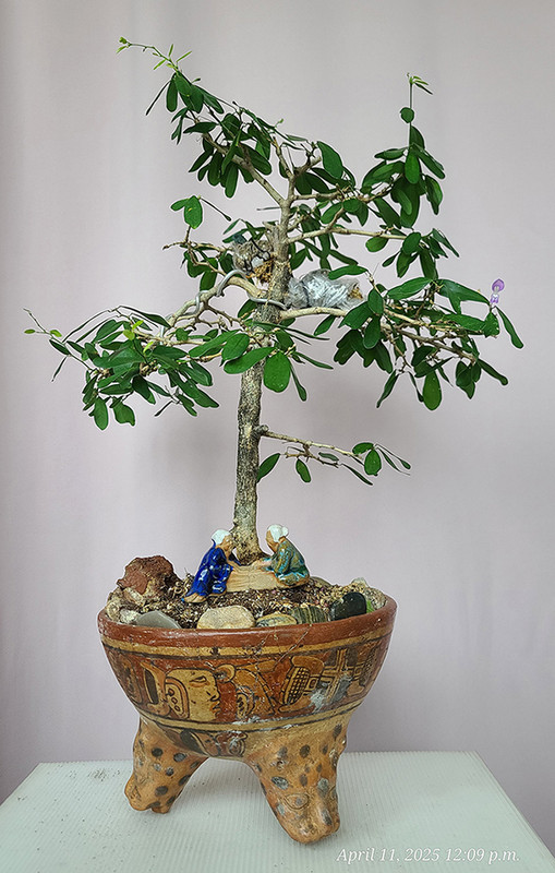 [Image: linhsam.jpg]