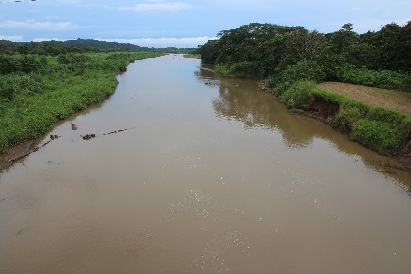 DIA 12: TRASLADO A DOMINICAL Y COCODRILOS EN TÁRCOLES - DE TORTUGAS Y PEREZOSOS. COSTA RICA 2019 (6)