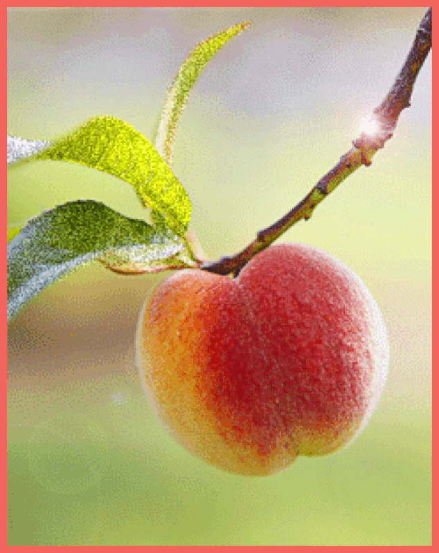 F7CE0A5D-541E-46AB-9B41-32941E4F6E01