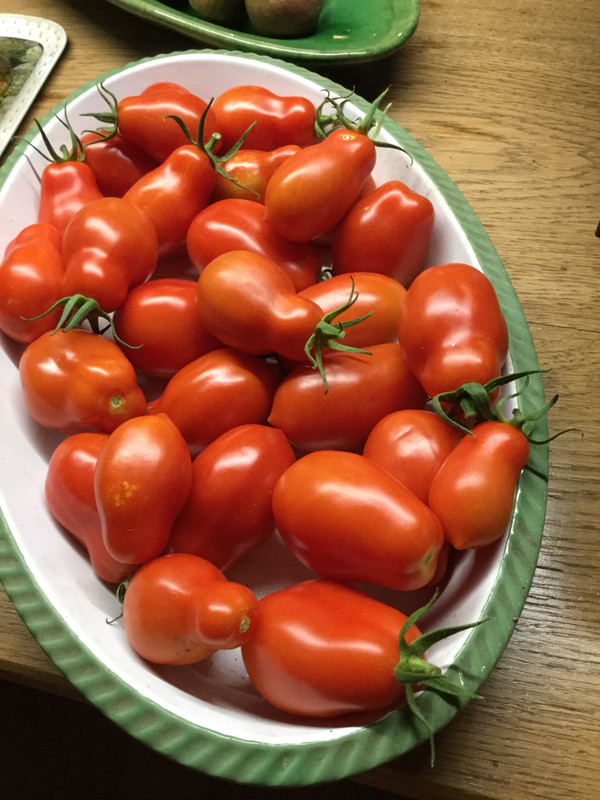 8D549268-0032-4317-A3E4-D29D62DFA31D