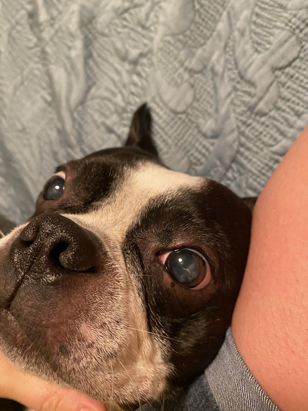 634ACA80-B1B4-423E-99C9-DF859958E52F