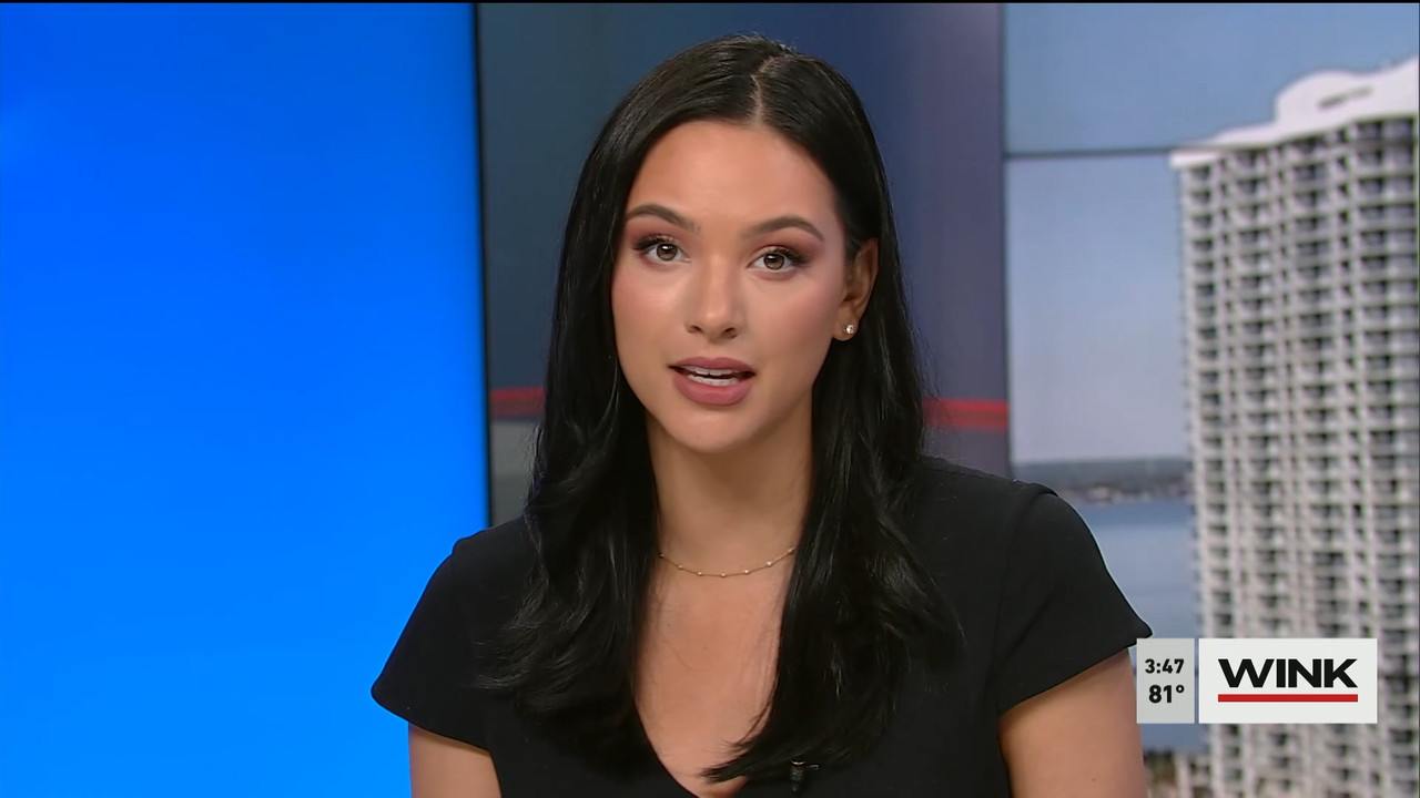 03.21 - 19.00.00 - WINK News at 3pm  ᴺᵉʷ..ts_snapshot_00.53.36.796