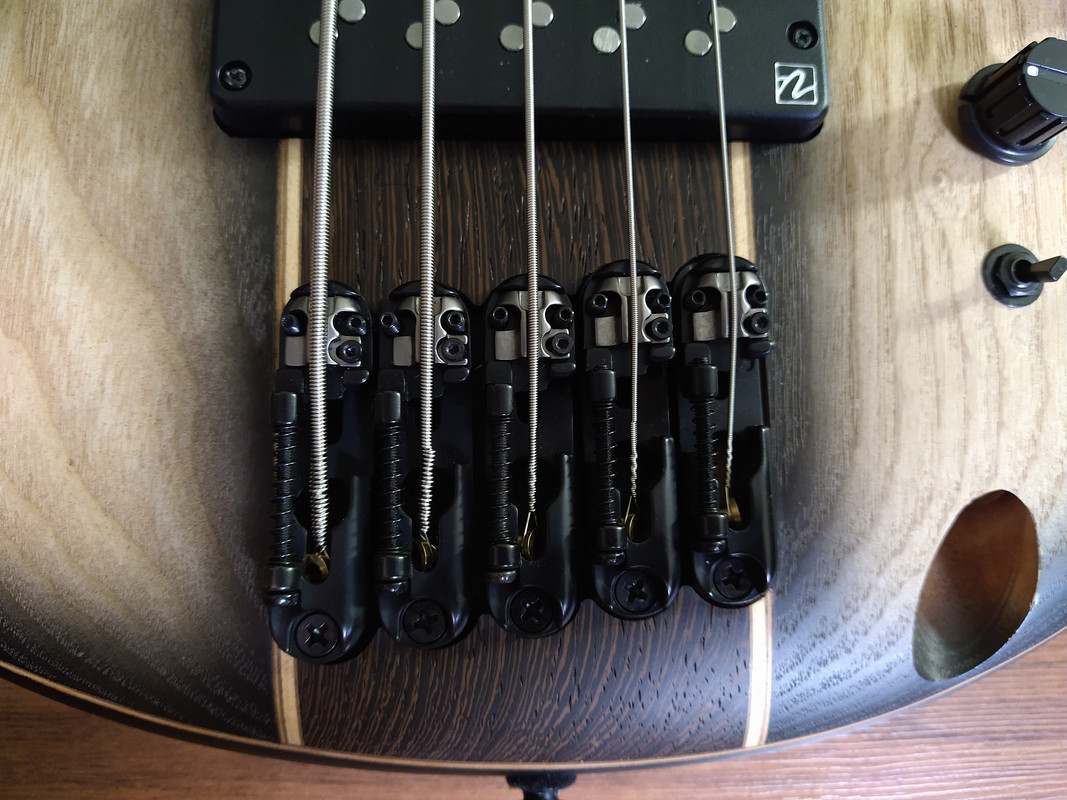 String Area Bass 5-string bass with wider string spacing | Page 3 | TalkBass.com