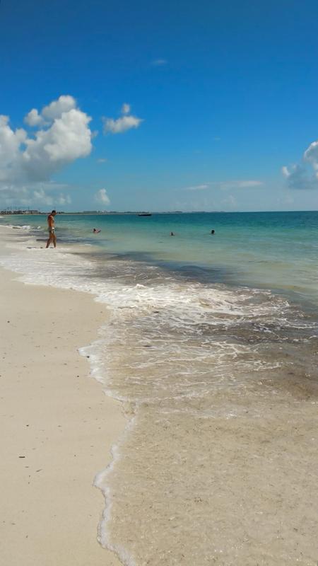 Playas sin Algas en Riviera Maya (Sargazo) - Forum Riviera Maya, Cancun and Mexican Caribbean