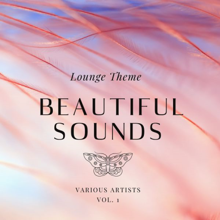 6604b907 86ba 4604 bca9 f75021a6aa71 - VA - Beautiful Sounds (Lounge Theme) Vol 1 (2022)