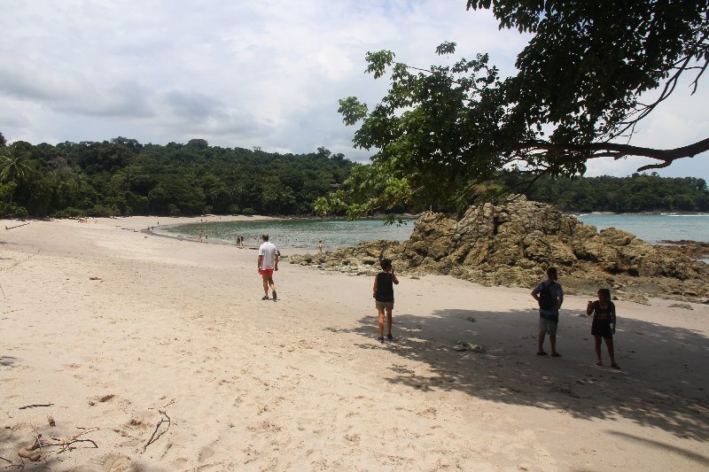 DE TORTUGAS Y PEREZOSOS. COSTA RICA 2019 - Blogs de Costa Rica - DIA 14: PARQUE DE MANUEL ANTONIO (32)