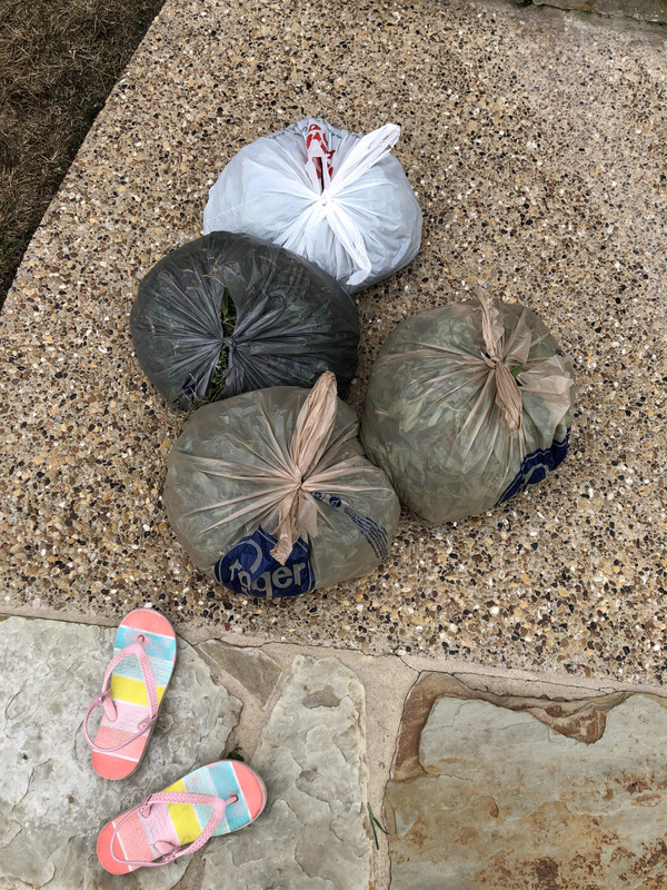 C3038C3B-16D6-448F-ACF9-59AB2984A0CC