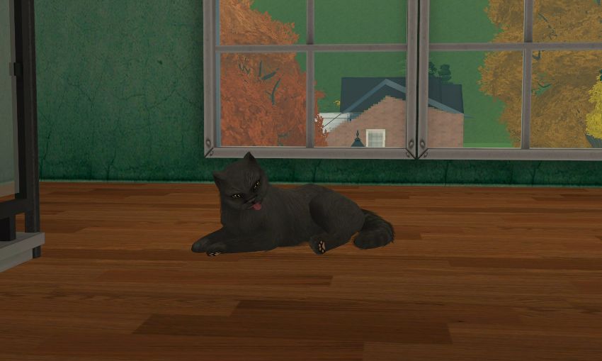 Sims2-EP9-2021-01-15-10-47-21-92