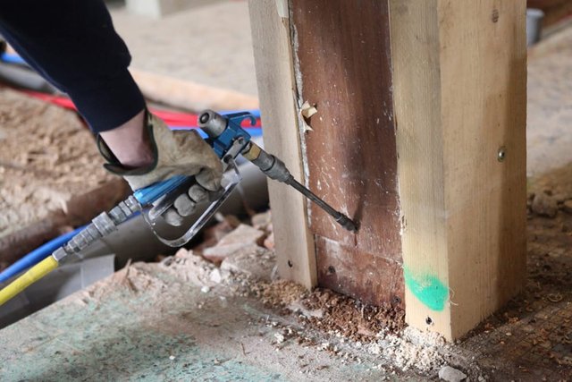 Termite control treatment near me , best termite control in delhi NCR 