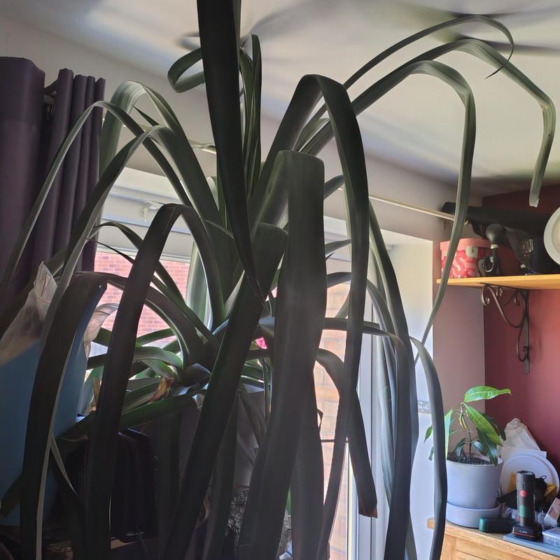 IMG 20260524 141621666 HDR