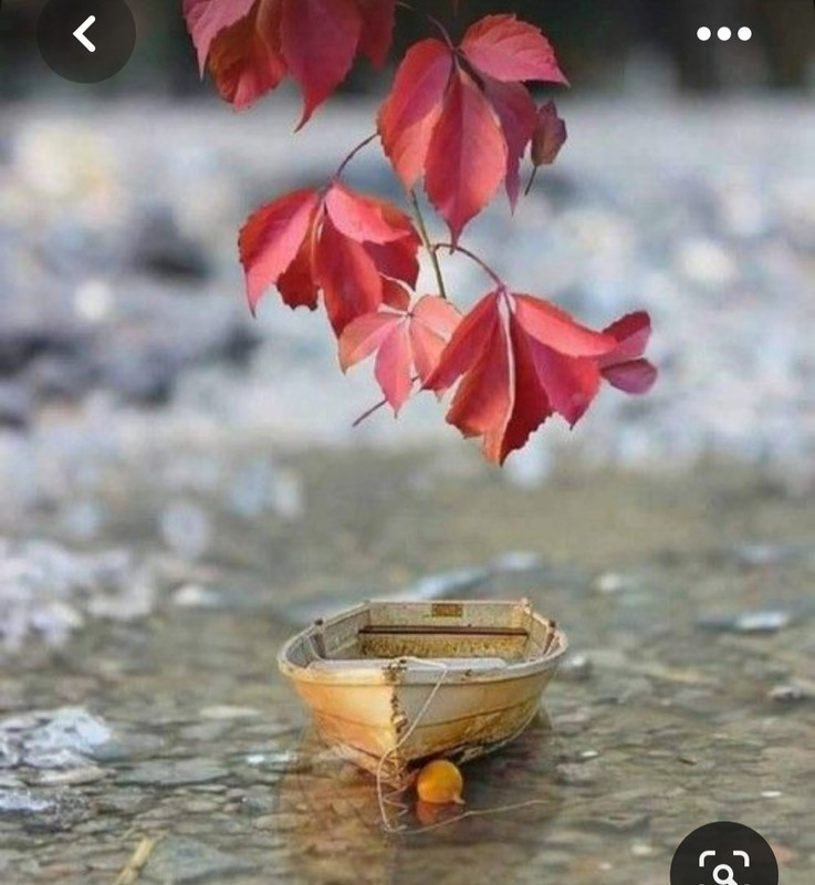 Screenshot_20230816_234347_Pinterest