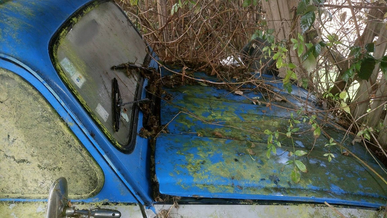 15387626_10209989593809492_1379679401_o