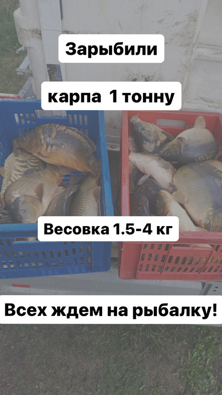 https://i.postimg.cc/G2CPXdgs/DF32-BDC2-EC3-B-4-C3-A-B5-F7-56-E310-D7552-B.jpg