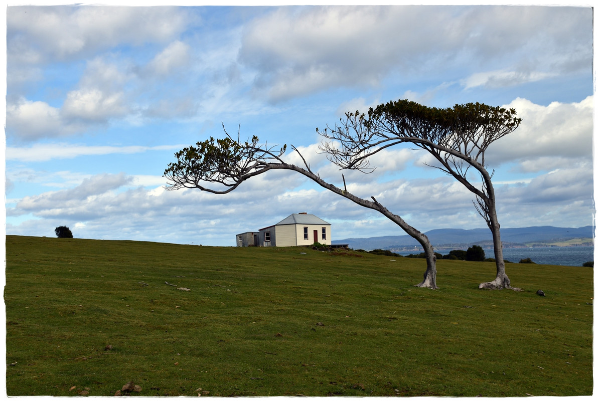 Australia (II): Recorriendo Tasmania - Blogs de Australia - Maria Island National Park (2)