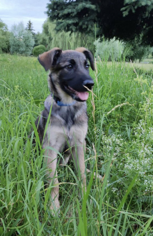 CA1BB519-19AB-4518-BF31-8B180FF3BED8