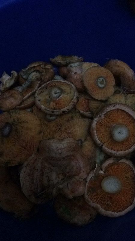 3E3664D1-C57B-4AA0-BABE-B8B626F36D88