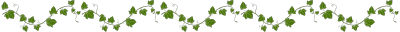 green 24