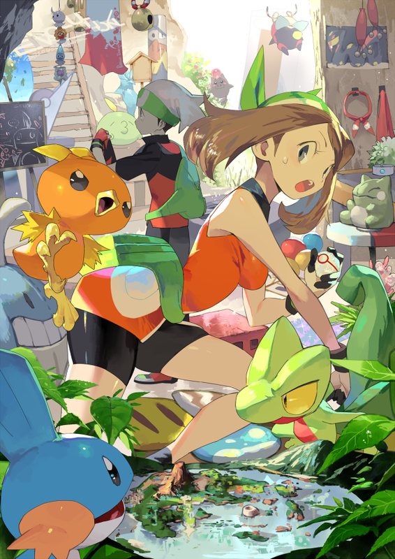 may-brendan-torchic-mudkip-treecko-and-1