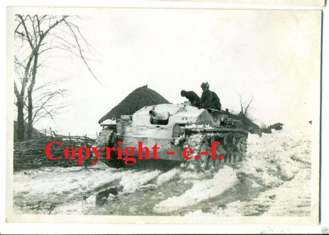 EINSATZ-FOTO - STURMGESCHÜTZ - WINTER-TARNUNG
