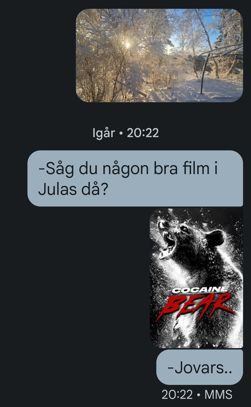 Screenshot-20231227-073232-Messages.jpg