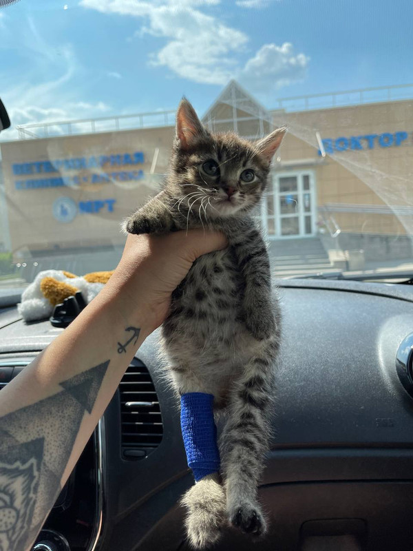 3B1E9D7E-0DFD-4670-A444-7507DA9B2BEA