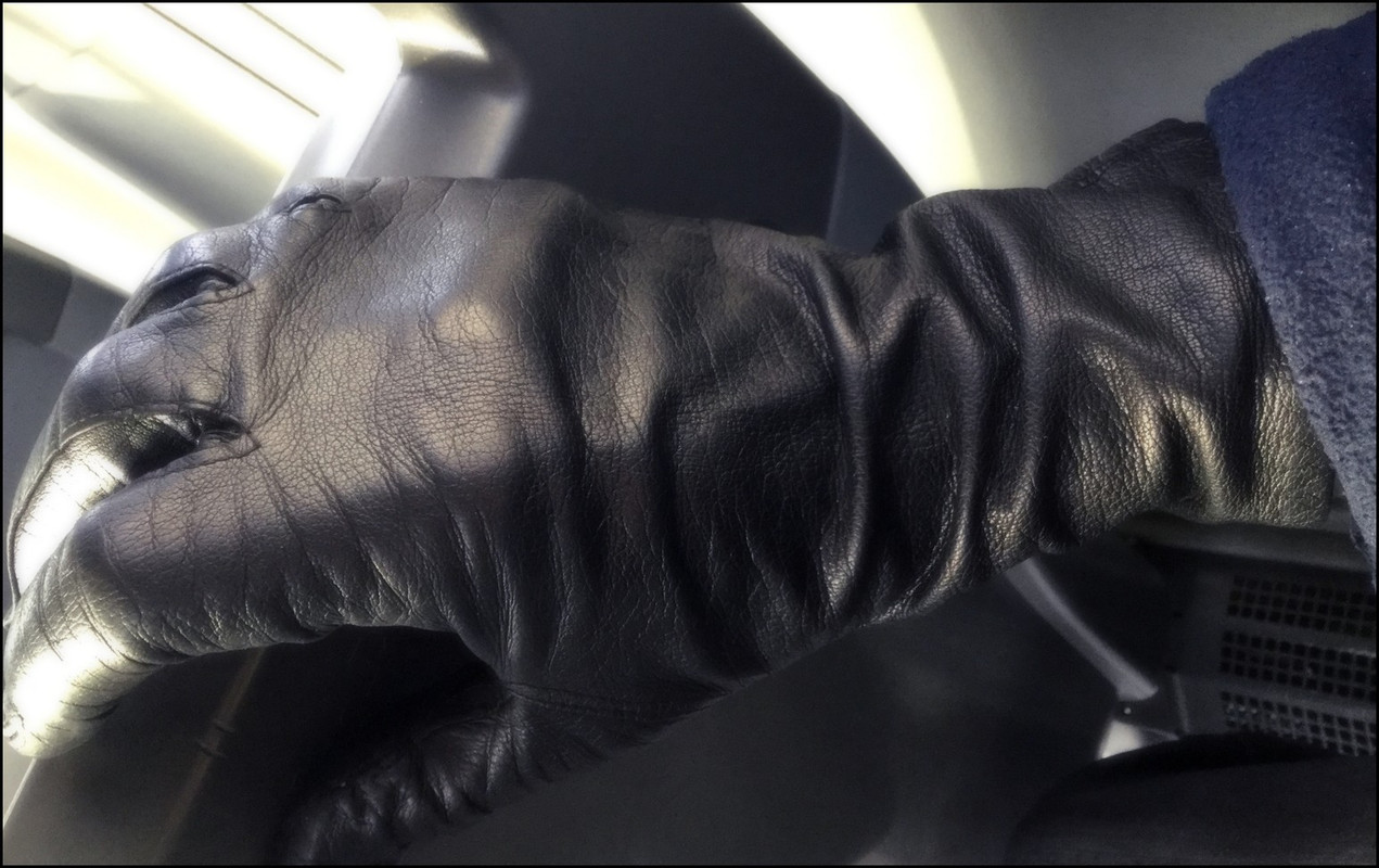Leather glove musings - WWGFA