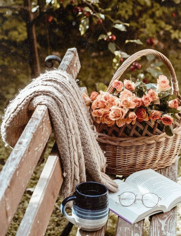 Screenshot_20230211_163801_Chrome