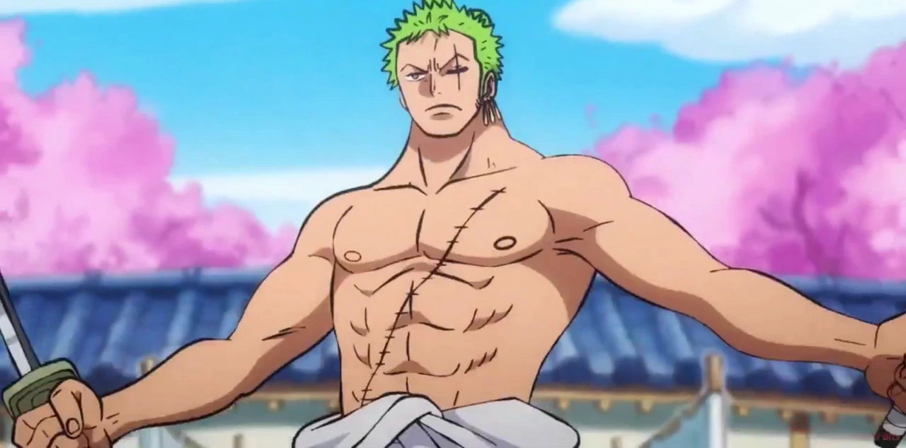 Roronoa-Zoro-shirtless-after-timeskips.w