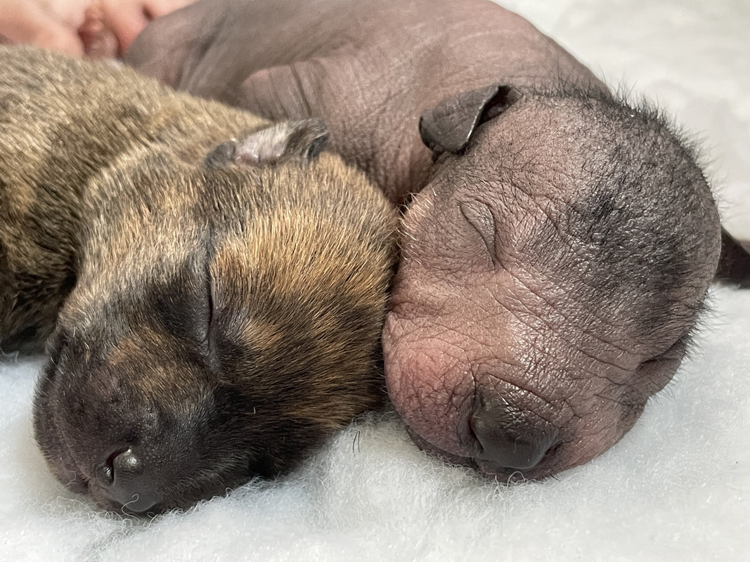 9079F4C5-5553-4ED7-8C92-9BAF04C83A91