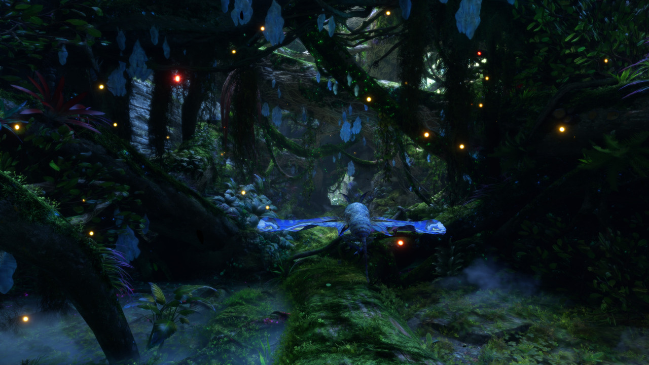 afop 2026 01 09 03 53 08 468