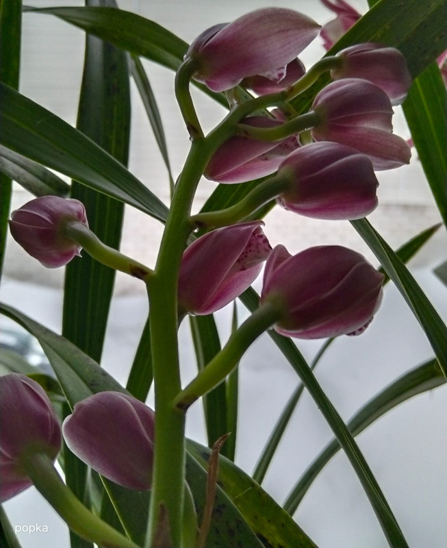 e4087c7a-e73a-4fc1-a56c-e7a327b3b9a6