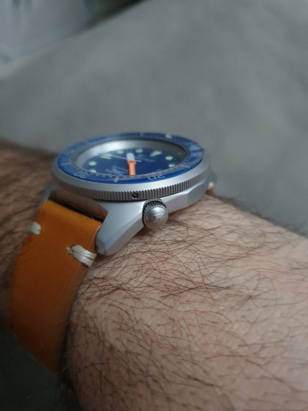 Helson - Shark Diver 42mm - Page 2 1