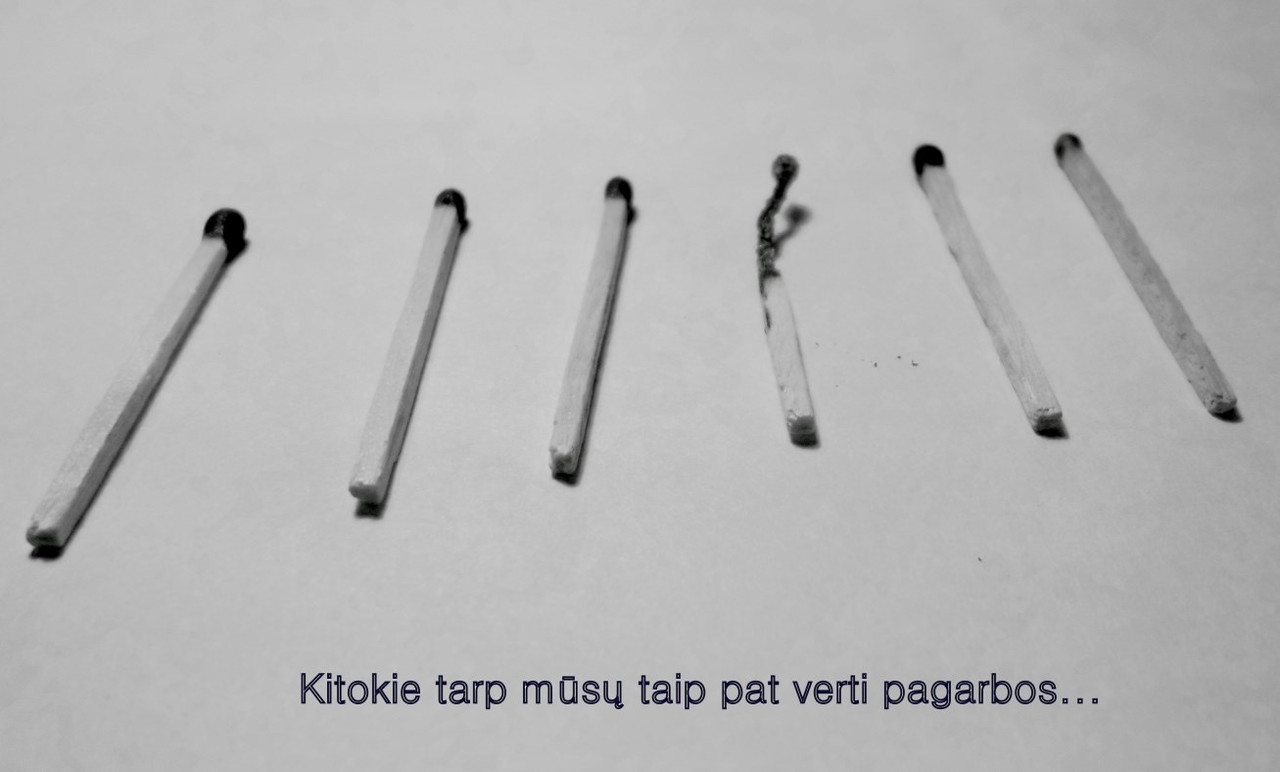 Samanta Novikovaite  12 klase (1307 x 788)