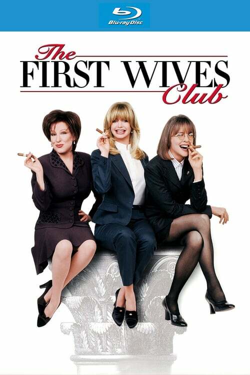  The First Wives Club (1996) 480p BluRay ORG. [Dual Audio] [Hindi or English] x264 ESubs [350MB] Full Movie Download