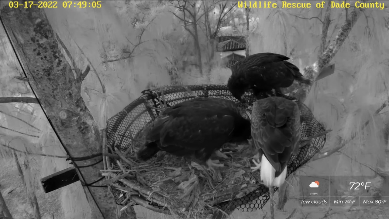 A161F91F-1C88-4A2C-99AA-DE2798B72DFC