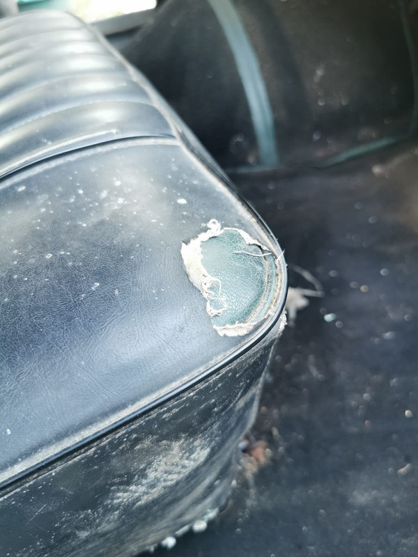 WhatsApp Image 2022-07-05 at 22.02.47 (1)