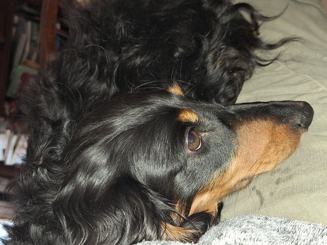 [Image: 20240614-135409.jpg]