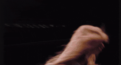 ezgif-6-a1d0f5cf8a.gif